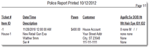 Police Report Generic